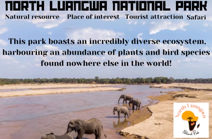 North Luangwa National Park in Zambia is indeed renowned for its diverse and pristine wilderness, image