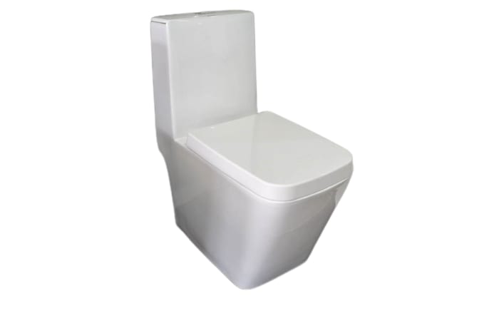 Washdown One Piece Toilet - White