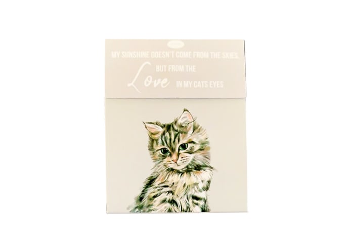 Paws for Thought  Magnetic Notepad  - My Sunshine Doesn't Come from the Skies, but from the Love in My Cats Eyes