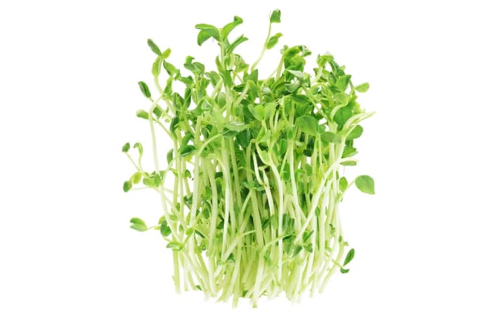 Pea  Sprouts Shoots - Salad Greens