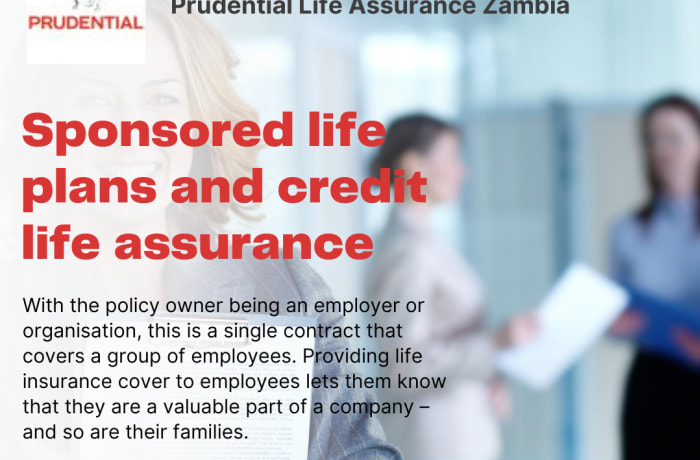 Sponsored life plans and credit life assurance image