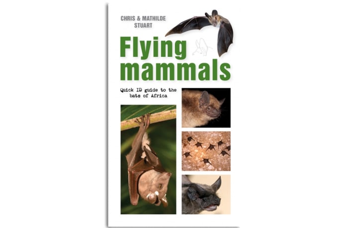 Sasol  First Field Guide to Flying Mammals