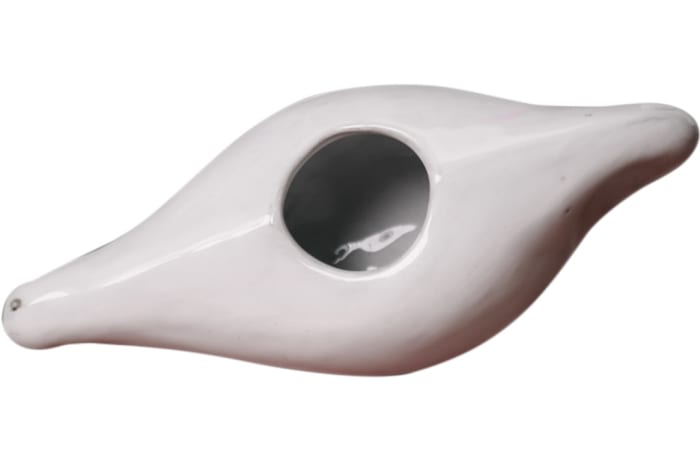 Neti Pot 