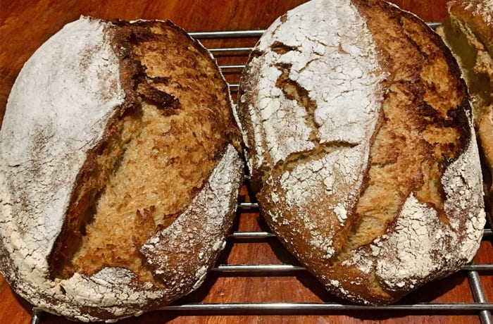 Whole Wheat Bread