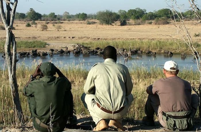 Safaris image