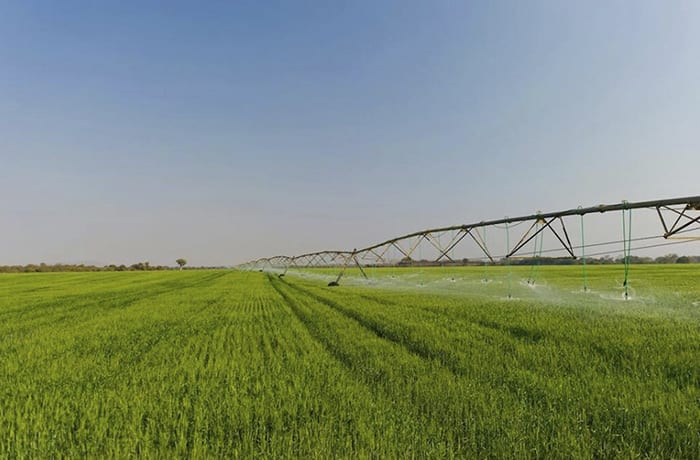 Crop farming image