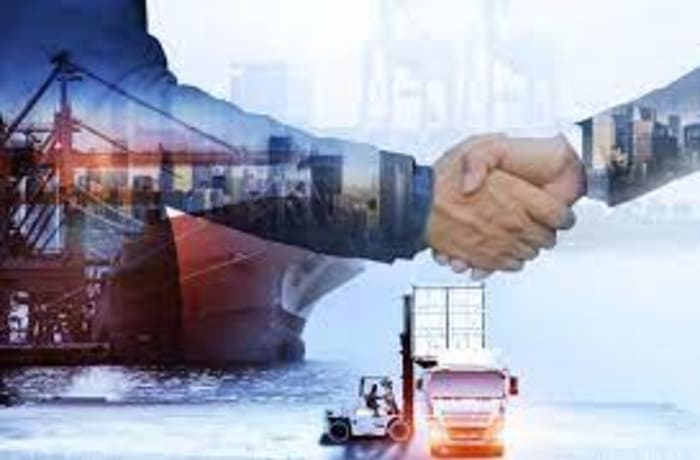 Professional shipping consultancy services image