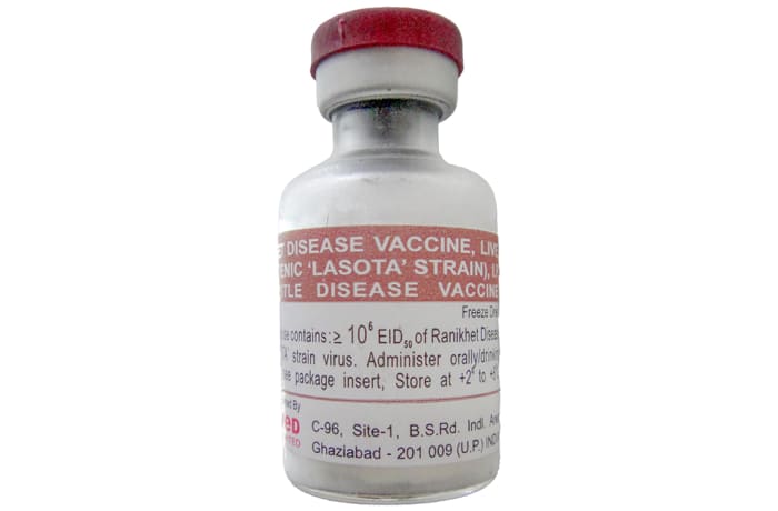 Ranikhet Disease Vaccine
