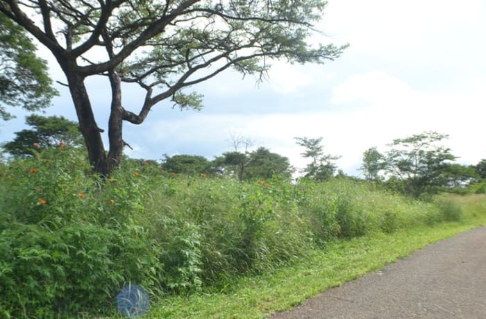 Plots for Sale in Mukamunya Estate - $110,000 image