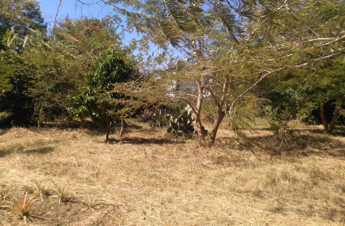 4045m² Vacant Land for Sale, Ibex Hill  - 3za1570396 image