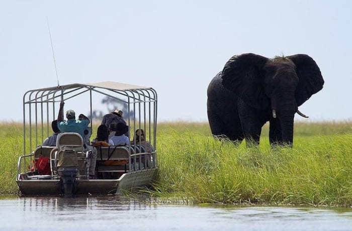  Chobe National Park Day Trip image