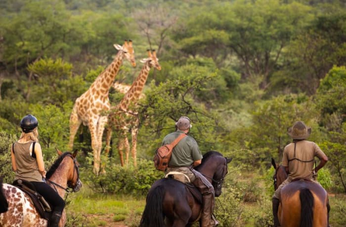 Horseback Safari image