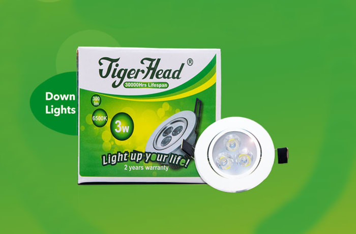 Tiger 3W Down Light Bulb image