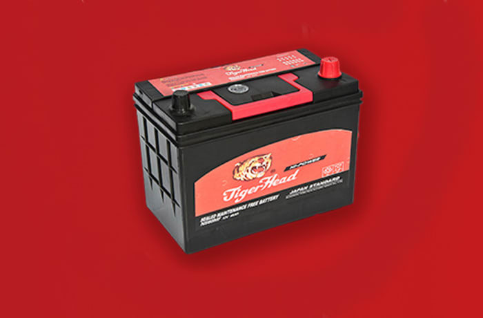 Tiger  Black Car Battery image