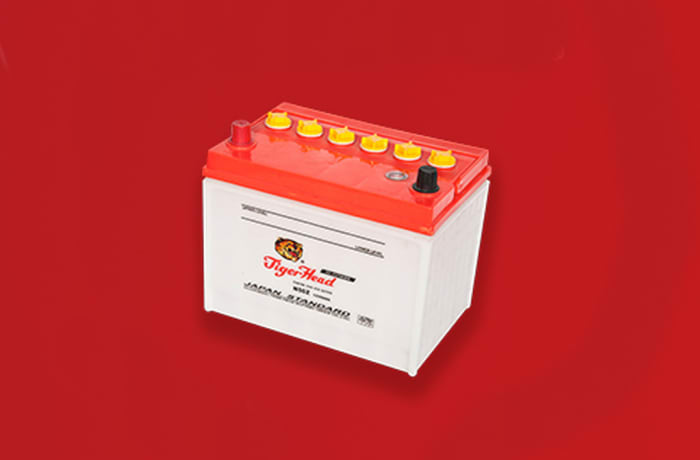 Tiger Car Battery image