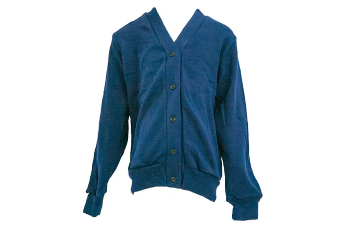 Blue School Cardigan image