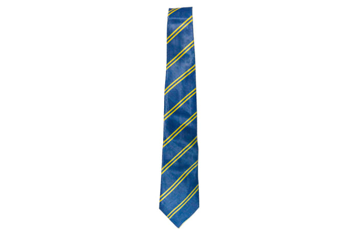 Blue with Yellow Stripes Neck Tie image