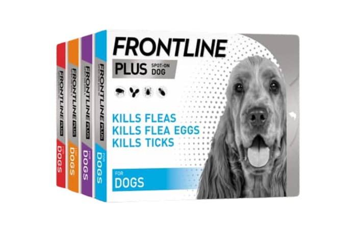 Frontline plus Flea & Tick Treatment - Large Dogs image