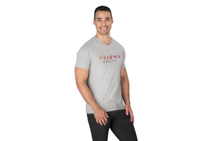 Mens Michigan Melange V-Neck T-Shirt image