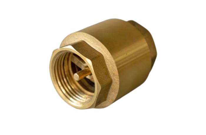 Brass Spring Check Valve image