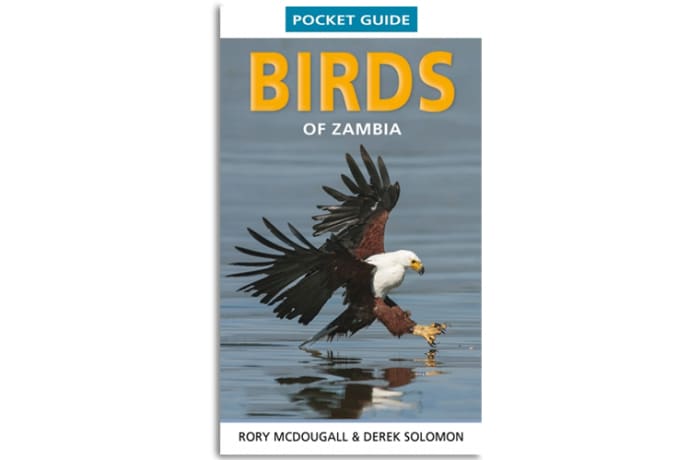 Pocket Guide:  Birds of Zambia  image