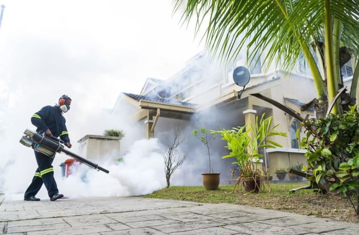 Pest Control & Fumigation Services image