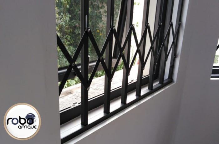 Trellis doors and burglar bars - 1