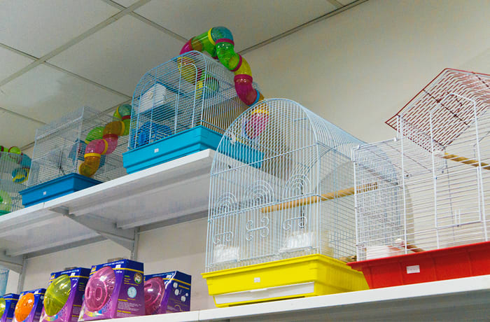 Pet shop - 2