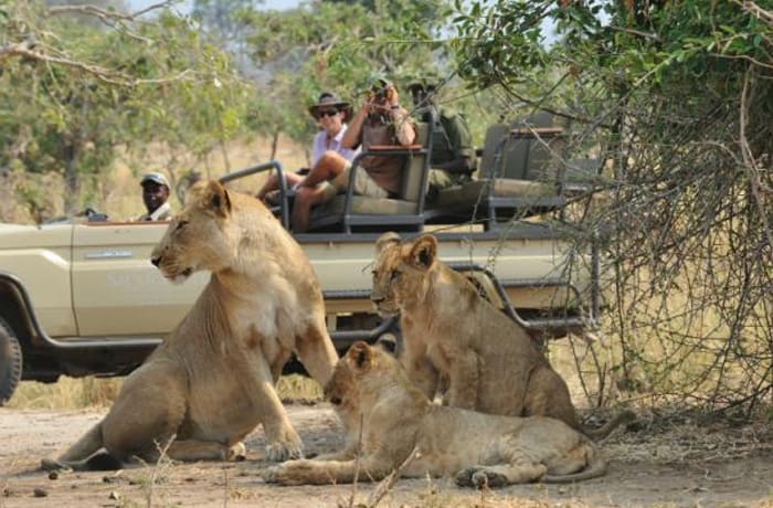 Safaris - 3