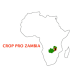 Crop Pro Zambia logo