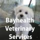 Bayhealth Veterinary Services logo