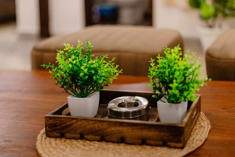 The Palm Edit — Apartment in Chattarpur, South Delhi (photo 5)