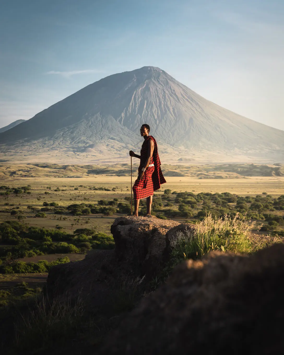 Safari en Tanzania