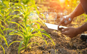 Modern agribusiness and sustainable agricultural practices in Kenya