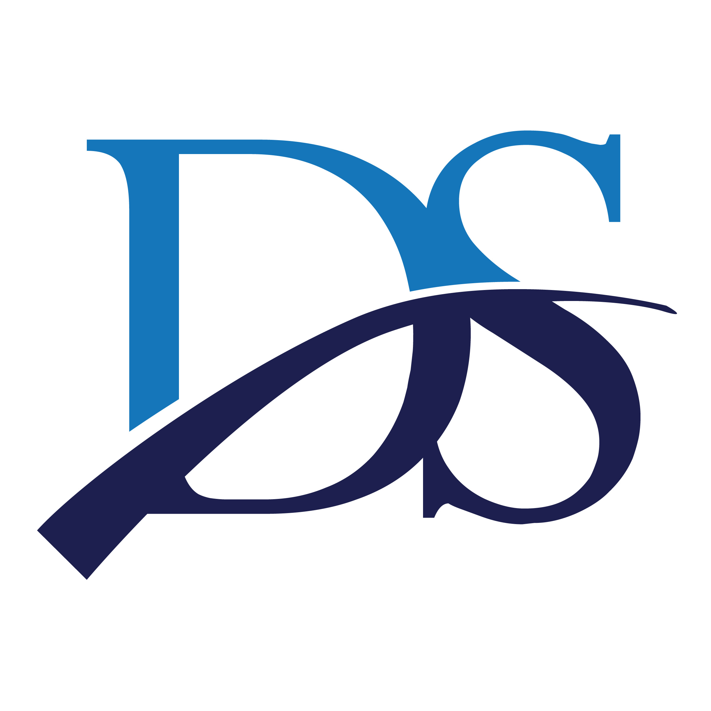 DS Professional Services