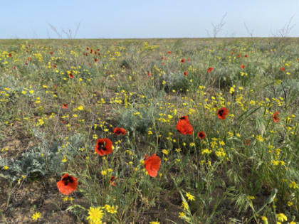 Поздравление с Днём весны и труда