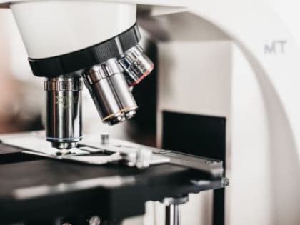 В Шигонском районе вспышка заболевания, которое может свести с ума