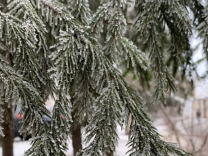 До -18°C. Жителей Самарской области призвали готовиться к настоящей климатической зиме