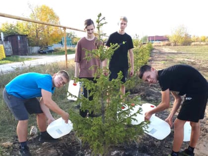 ЗЕЛЕНАЯ АЛЛЕЯ СЛАВЫ БУДЕТ ЖИТЬ!