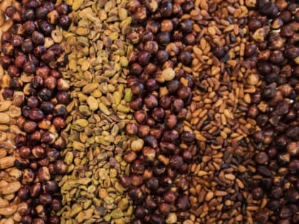 Нутрициолог назвал орехи, понижающие давление