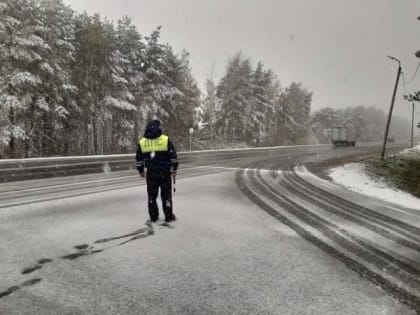 Пешеходы на «зебрах» не ведают страха, а водителей раздражает эффект аквариума