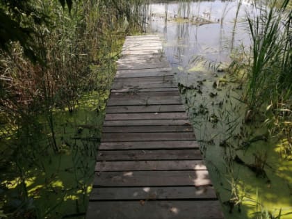 В Сызрани заявили о плачевной ситуации на реке в черте города