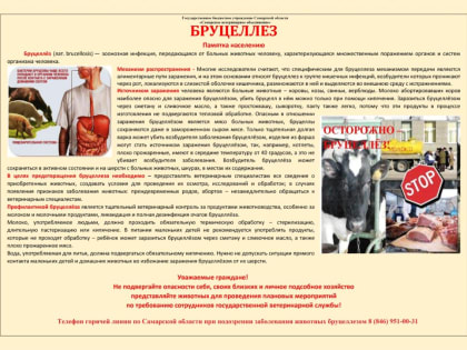 Бруцеллёз – инфекционное заболевание общее для человека и животных