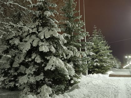 Перед Новым годом в Самарскую область вернутся снегопады