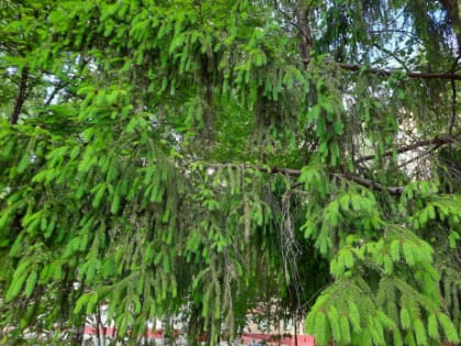 Народные приметы на 24 июля: почему в этот день нельзя мыться и как не навлечь на себя серьезных материальных проблем