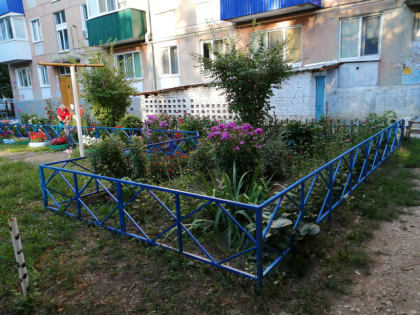 Подарите радость соседям: жителей Сызрани позвали меняться семенами