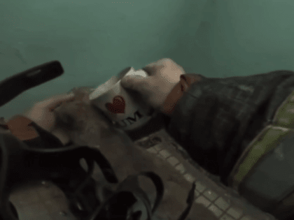 В Тольятти огнеборцы спасли двух кошек 