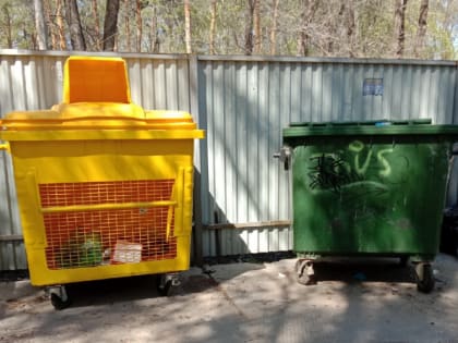В Сызрани поставили баки для раздельного сбора мусора, но не объяснили как пользоваться