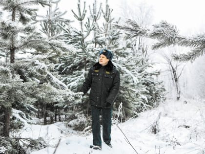 ЛЕС РУБЯТ — ШТРАФЫ ЛЕТЯТ