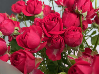 Уберите из своей жизни всё красное 11 июня: предостережение Павла Глобы